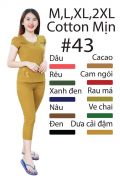 DBT043- Đồ bộ thun Cotton mịn nhiều màu