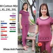 DBT080 - Đồ bộ thun Cotton mịn viền cổ và tay