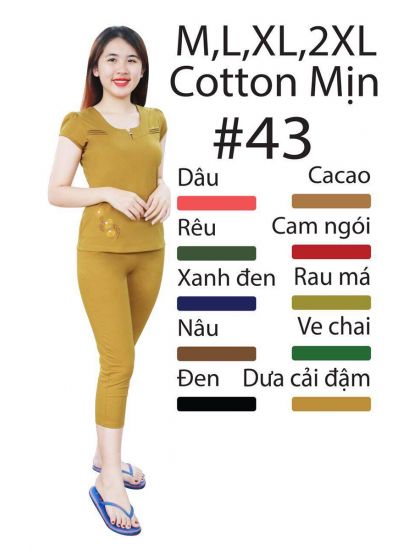 DBT043- Đồ bộ thun Cotton mịn nhiều màu